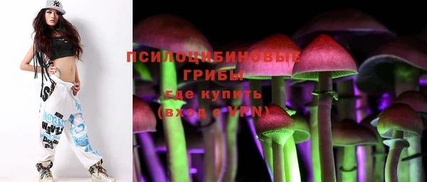 крисы Надым