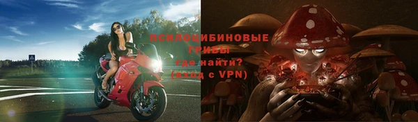 амф Алексеевка