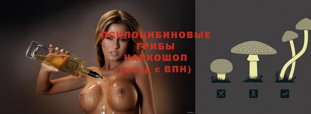 Альфа ПВП Алексин