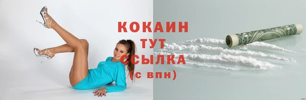 спиды Алзамай
