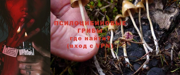 амф Алексеевка