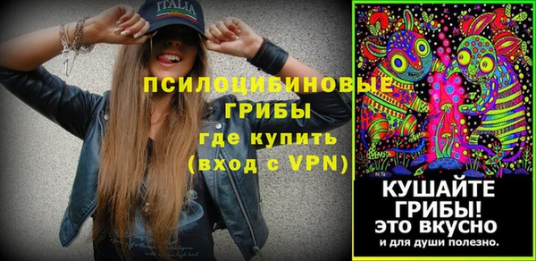 спиды Алзамай