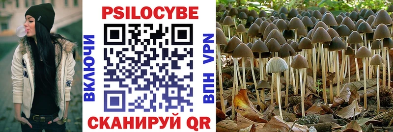 купить   Крым  Псилоцибиновые грибы Cubensis 