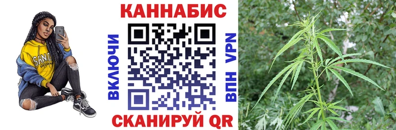 Бошки Шишки семена Крым